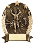 Track Male 5-Star Resin 6.25 inches
