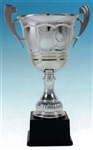 Berwick Silver Metal Cup 14 inches