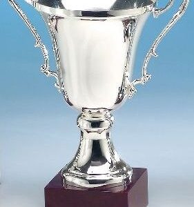 Silver Plated Cup With Antique Handles