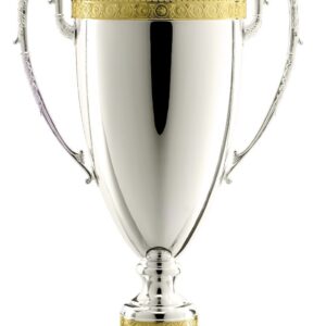 Metal Cup 3
