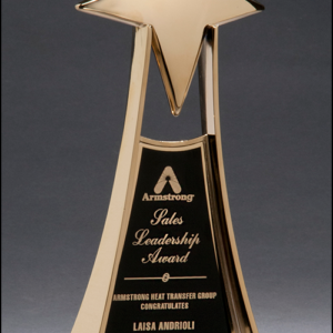 Metal Star Trophy in Gold Finish