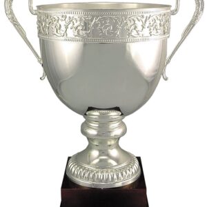 Metal Cup