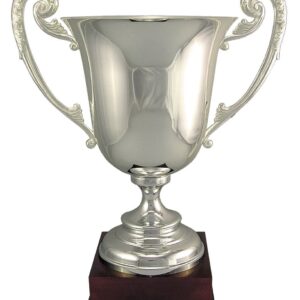 Metal Cup 2