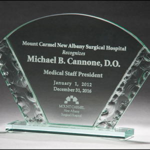 Glass Fan Shapped Award