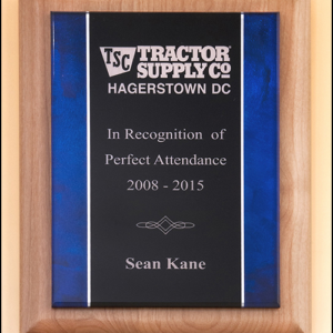 Acrylic Plate with Blue Border