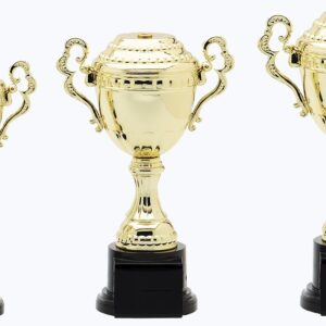 Full Metal Cups Verona Series